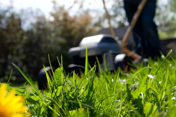 Pessoa desfocada cortando o gramado com um movedor de grama — Fotografia de Stock
