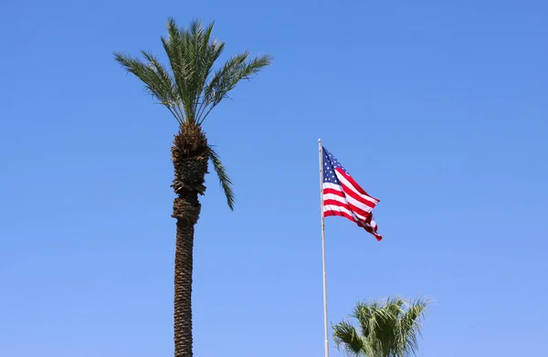 Αμερικανική Σημαία Και Παλάμη Δέντρο Όμορφο Μπλε Ουρανό Και Αντίγραφο — Φωτογραφία Αρχείου