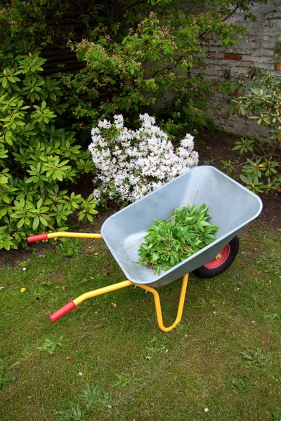 Carrinho Mão Grama Jardim Com Folhas — Fotografia de Stock