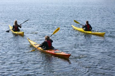 Copenhagen, Danimarka - 8 Nisan 2018: Deniz kürek, etkin su spor ve boş zaman, tarafından içinde kayık kürek çekmeye kanocu Kayak topluluğu
