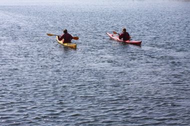 Copenhagen, Danimarka - 8 Nisan 2018: Kayak Kayak rowers deniz, etkin su spor ve boş zaman, kürek çekmeye bir kayık üzerinde