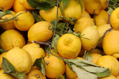 Bir sokak marke satışa taze organik limon