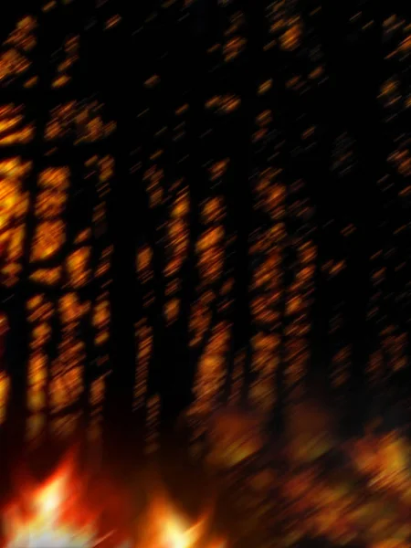 Scena Leśna Oświetleniem Jakby Drzewa Lesie Płonęły Obraz Tła Motion — Zdjęcie stockowe
