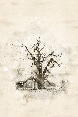 Kışın yağan kar taneleriyle yapayalnız bir meşe ağacının suluboya resmi. Kopya alanı ile illüstrasyon. Bilgisayar oluşturuldu. 