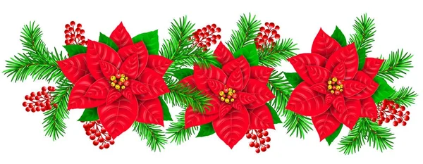 Garland Poinsettia gałąź jodła czerwone jagody holly — Wektor stockowy