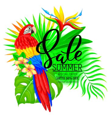 Yaz Satılık papağan ile parlak kompozisyon çiçek ve yaprakları