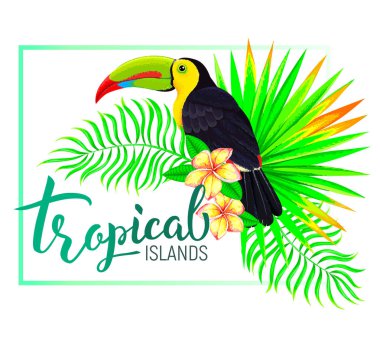 Tropik ada kompozisyon toucan ile çiçek yaprakları
