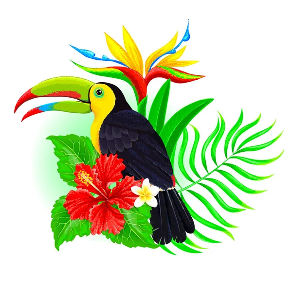 Toucan med palmblad och hibiskus — Stock vektor