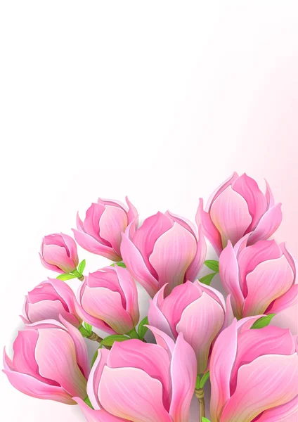 Gyönyörű háttér magnólia virágok — Stock Vector