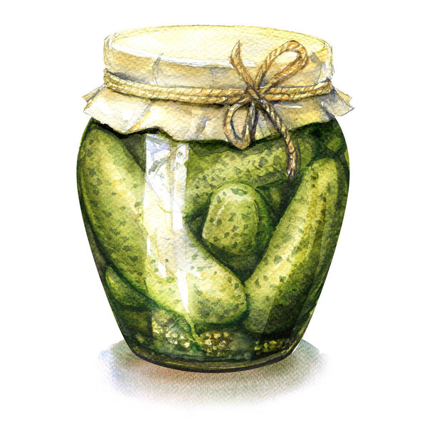 Homemade pickled, canned cucumbers in glass jar isolated, watercolor illustration