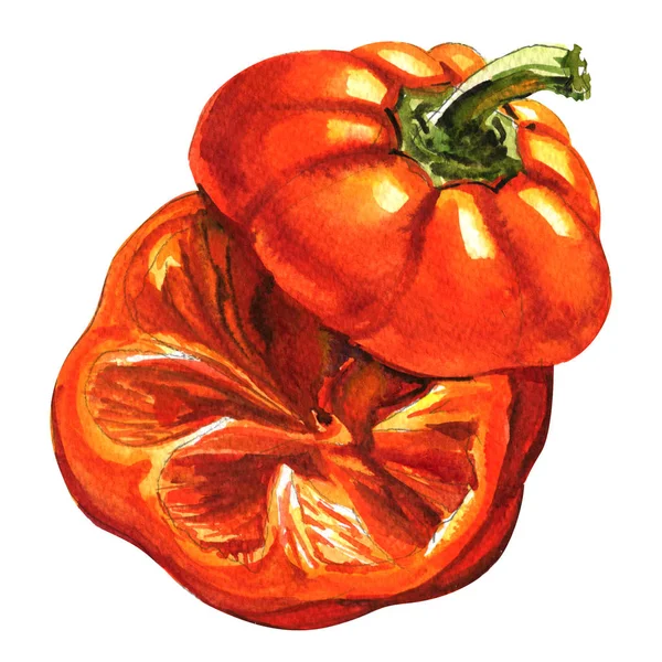 Cut red pepper isolated, top view, watercolor illustration on white — Stock Photo, Image