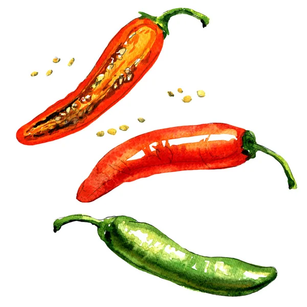 Scharfe rote, grüne Chili- oder Chilischote isoliert, Aquarell-Illustration — Stockfoto