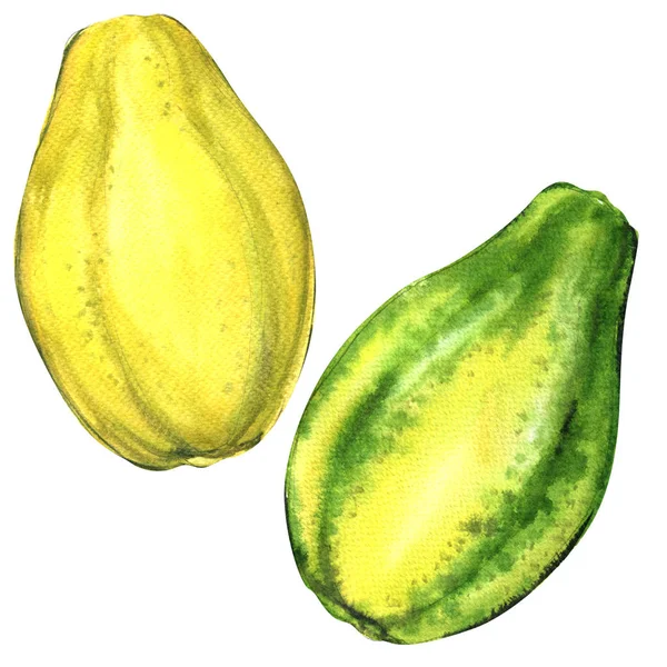 Fruit entier de papaye, deux objets isolés, aquarelle illustration sur blanc — Photo