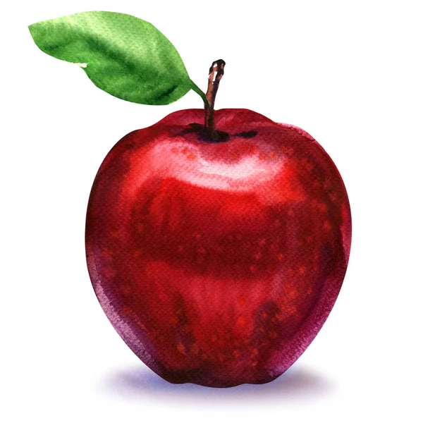 Fruit de pomme rouge frais avec feuille, peinture aquarelle sur blanc — Photo