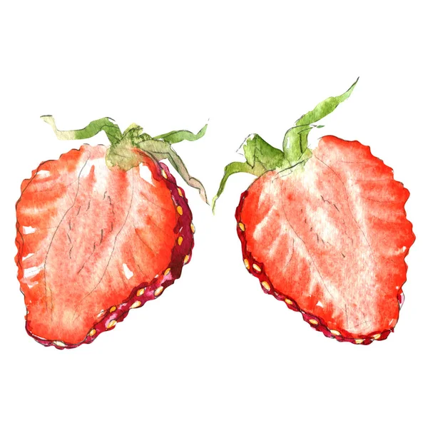 Fraise fraîche, demi-baie, isolée, aquarelle illustration sur blanc — Photo