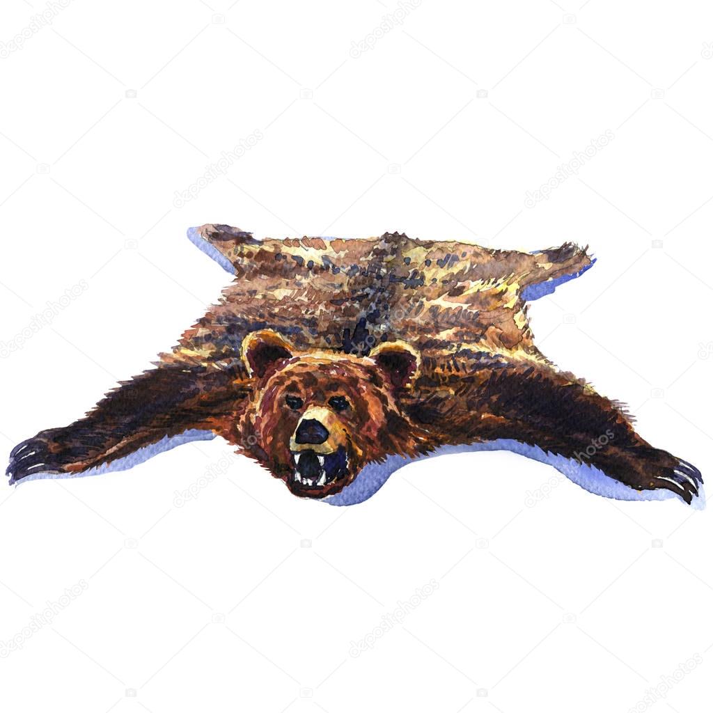 Bearskin, big brown wild bear pelt isolated, hunting trophy, watercolor illustration