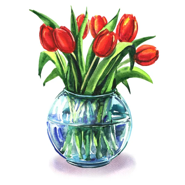 Buquê de belas tulipas vermelhas em vaso de vidro isolado, ilustração aquarela — Fotografia de Stock