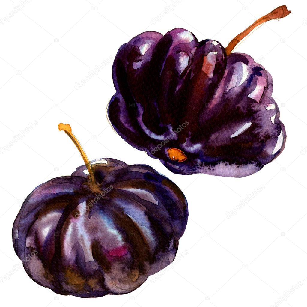 Black Suriname Cherry Pitanga, Tropical Eugenia uniflora fruit, isolated, watercolor illustration on white