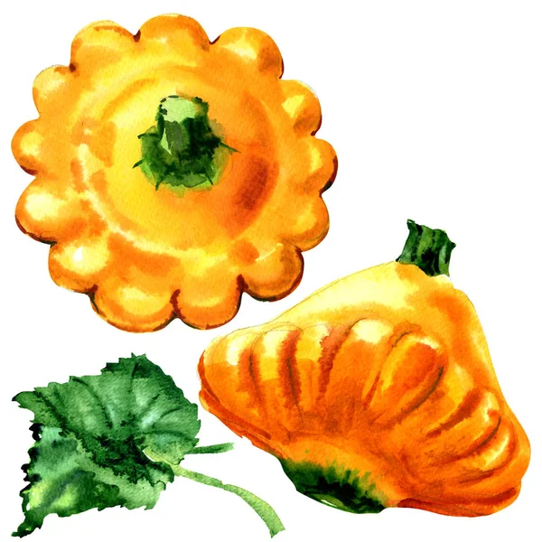 Yellow pattypan, baby summer squash with leaf isolated, watercolor illustration on white — Stock Photo, Image