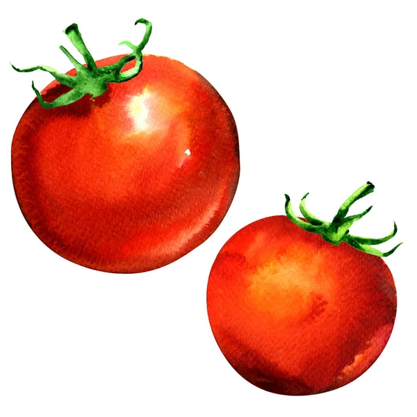 孤立的新鲜整体两个西红柿，红色蔬菜，水彩插图上白 — 图库照片