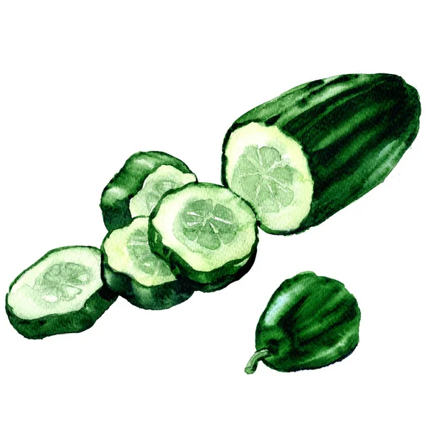 Pepino verde fresco en rodajas, pepino picado, aislado, acuarela ilustración en blanco —  Fotos de Stock