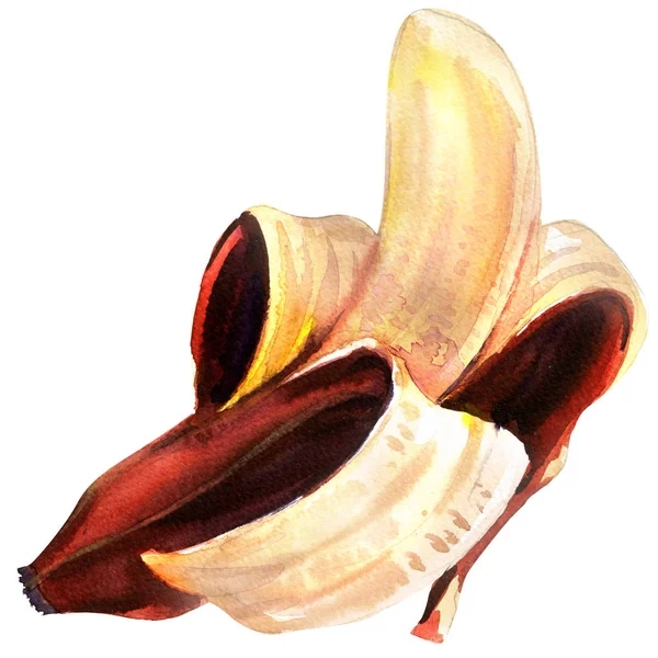 Fruta única madura, banano abierto rojo medio pelado aislado, ilustración de acuarela en blanco — Foto de Stock