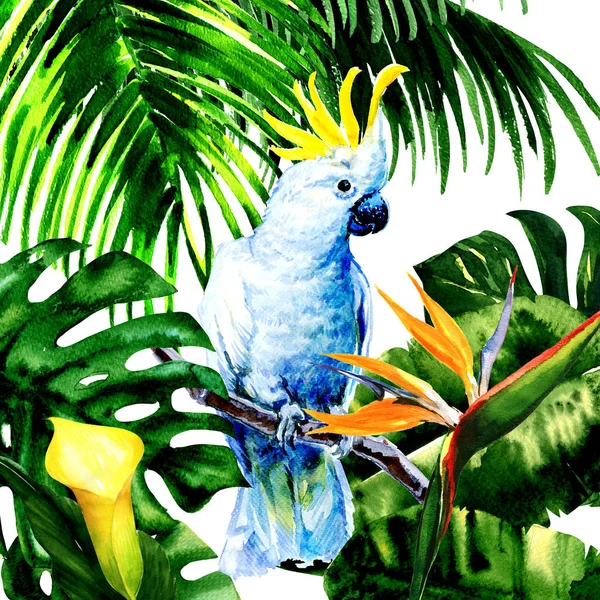 Cacatua branca bonita, papagaio grande colorido na floresta tropical da selva, flores e folhas exóticas, ilustração aquarela — Fotografia de Stock