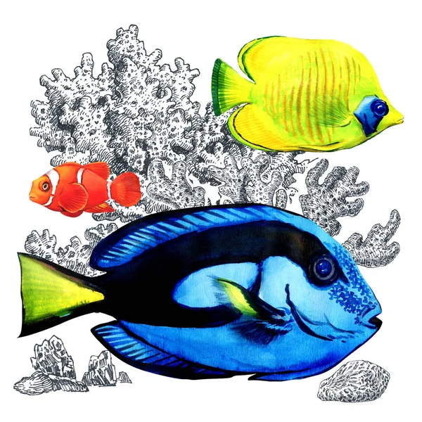 Marine coral fish with corals, isolated. Colorful sea fishes in aquarium. Watercolor illustration on white background — Stock Photo, Image