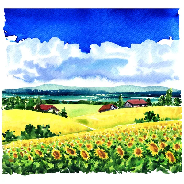 Hermoso paisaje rural pueblo, campo de girasol, prados, casas de campo, cielo azul, nubes, acuarela ilustración — Foto de Stock