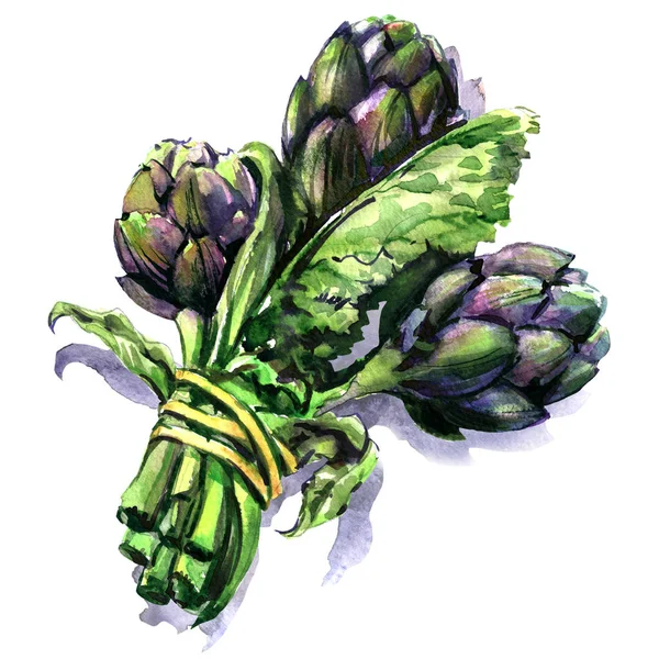 Massa färska lila kronärtskockor med stjälk och blad, vegetabilisk isolerad, handritad akvarell illustration på vit — Stockfoto