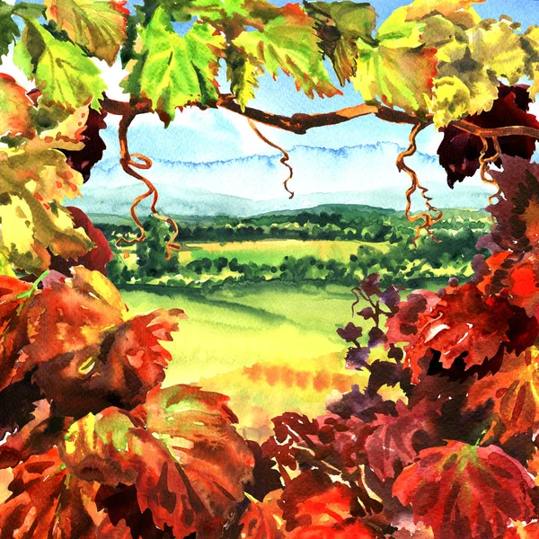 Winnica ramki z pięknej miejscowości wiejski krajobraz, pola, łąki, słoneczny dzień, ilustracja akwarela — Zdjęcie stockowe