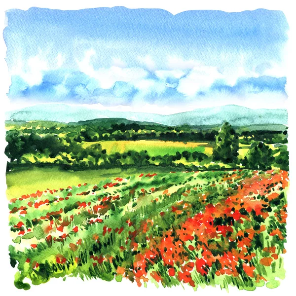 Piękna łąka na zielonej trawie, czerwone Maki, dzikie kwiaty. Toskania, Włochy. Pole maku. Akwarela, ilustracja — Zdjęcie stockowe