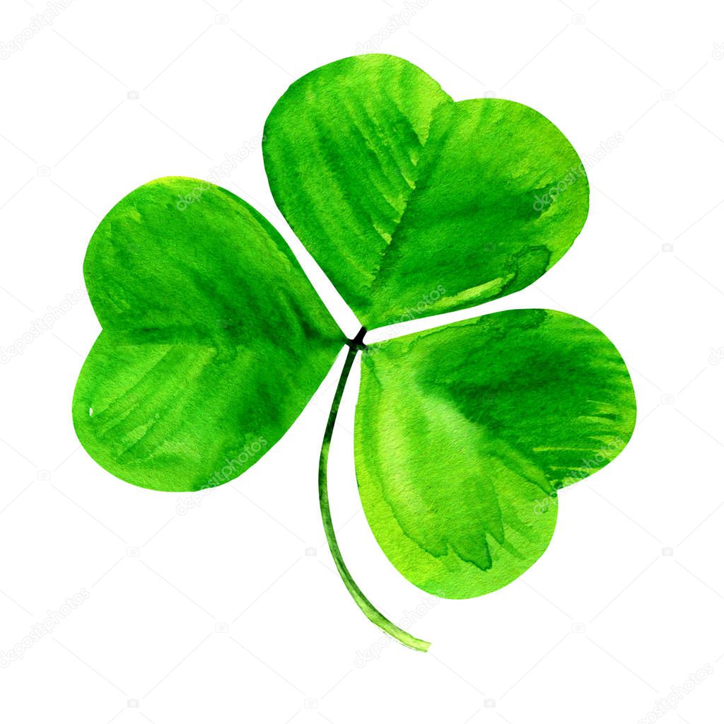 Shamrock, green clover three leaf, Patrick day symbol, isolated, hand drawn watercolor illustration on white background