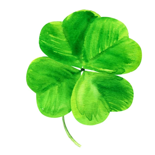 Shamrock, zielonej koniczyny czterech liści, Patrick dzień symbol, na białym tle, dłoń akwarela ilustracja na białym tle — Zdjęcie stockowe