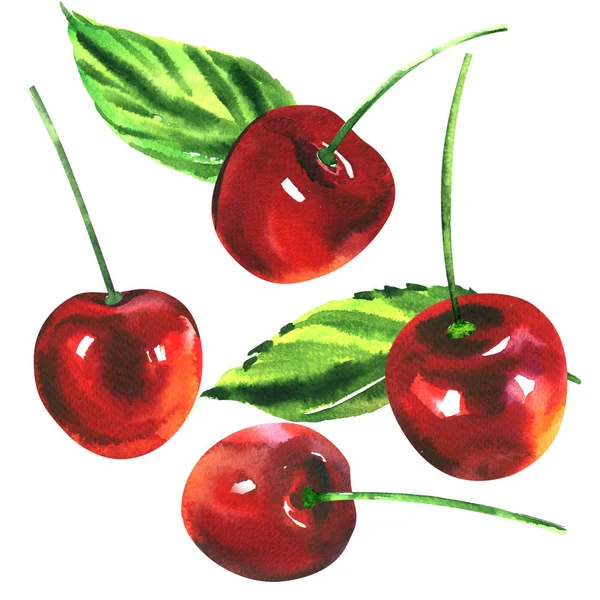 Ripe sweet red cherries with green leaves isolated, cherry fruits, hand drawn watercolor illustration on white — Stock Photo, Image