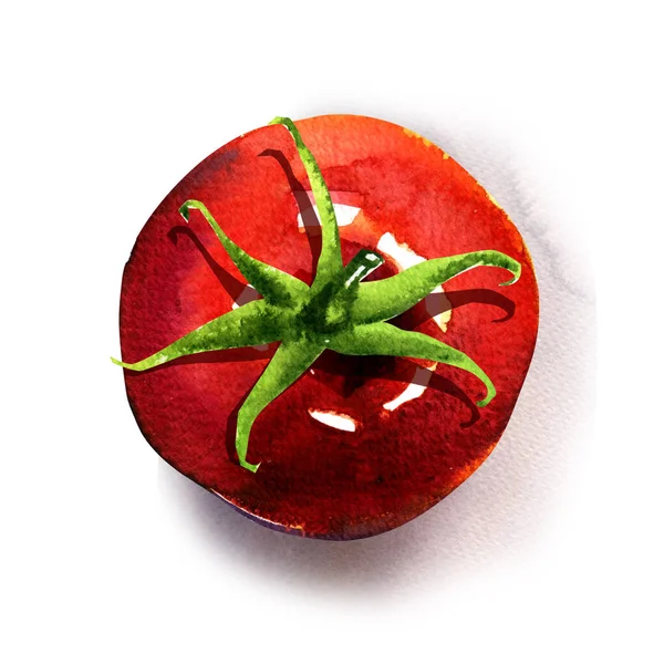 Tomate vermelho maduro, único objeto vermelho suculento fresco, vista superior, comida vegetariana orgânica, ingrediente natural, close-up, isolado, desenhado à mão ilustração aquarela sobre branco — Fotografia de Stock