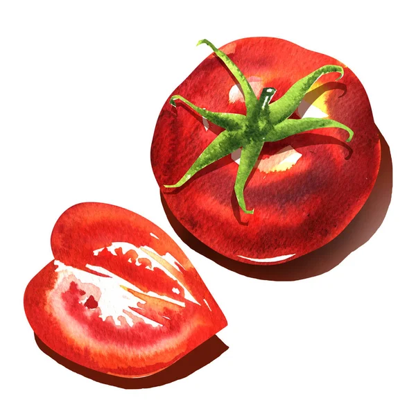 Tomates vermelhos maduros, inteiro e parte, objeto de tomate vermelho suculento fresco, vista superior, comida vegetariana orgânica, ingrediente natural, close-up, isolado, desenhado à mão ilustração aquarela em branco — Fotografia de Stock