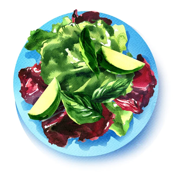 Verse gemengde salade met groene spinazie, romaine en sla bladeren, vegetarische biologische salade mix op bord, gezond voedsel concept, bovenaanzicht geïsoleerd, met de hand getekend aquarel illustratie op wit — Stockfoto