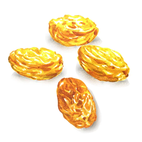 Raisins dorés, baies séchées de raisins jaunes. Snack végétarien sain, bonbons naturels, aliments biologiques, collation savoureuse. Objets isolés, aquarelle dessinée à la main illustration sur blanc — Photo