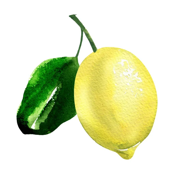 Yeşil yapraklı taze sarı limon, sulu limon narenciye, yakın plan, organik vitamin meyvesi, izole edilmiş, beyaz üzerine elle çizilmiş sulu boya resmi. — Stok fotoğraf