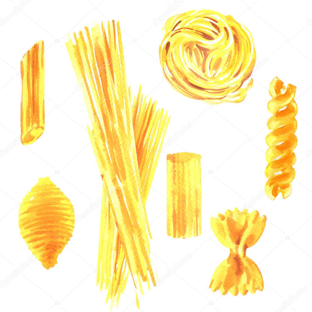 Set pasta, different types of Italian pasta, cannelloni, penne, fusilli, spaghetti, fettuccine, conchiglie, italian cuisine food, isolated, hand drawn watercolor illustration on white