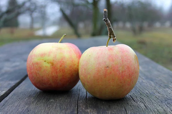 Arrangement Apples Nature Outdoors Natural Light — Stockfoto