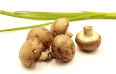 Vegetables: mushrooms and chives isolated on white backgroun