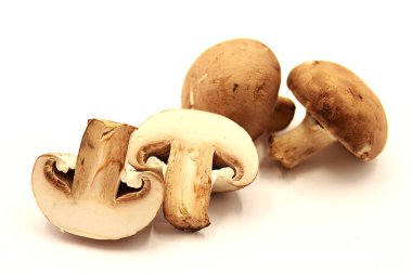 Beyaz arka planda izole edilmiş birkaç kraliyet şampiyonunun kompozisyonu