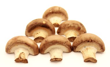 Beyaz arka planda izole edilmiş birkaç kraliyet şampiyonunun kompozisyonu