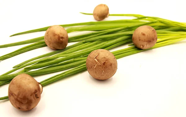 Composizione Champignons Piume Cipolla Verde Fondo Bianco — Foto Stock