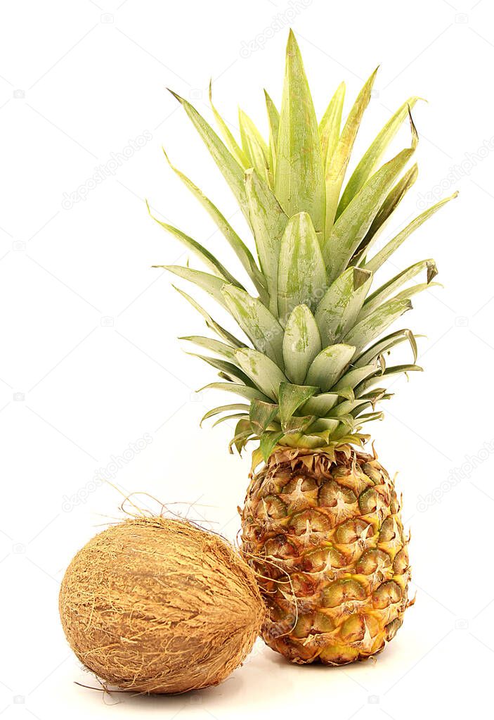 Ripe pineapple and coconut close-up isolated on a white background