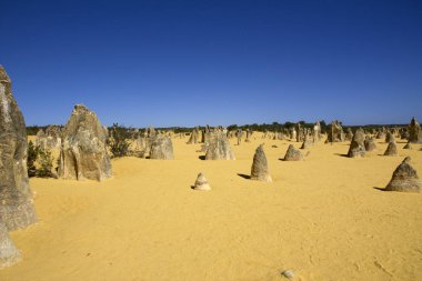 Pinnacle çöl Batı Avustralya