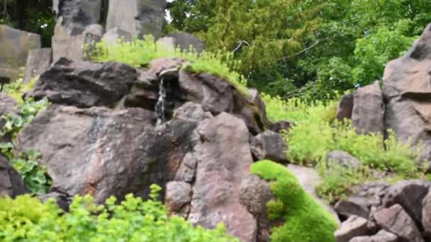 Jardim Zen Rock Jardim Botânico Dresden Alemanha Grama Verde Cachoeira — Vídeo de Stock