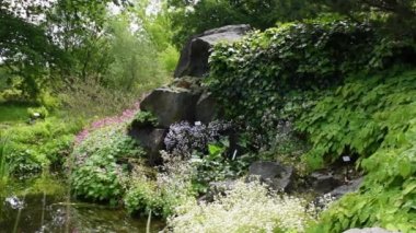 Dresden, Almanya 'daki Botanik Bahçesi' nde Zen Rock Garden. Yeşil çimen ve şelale, peyzaj tasarımı